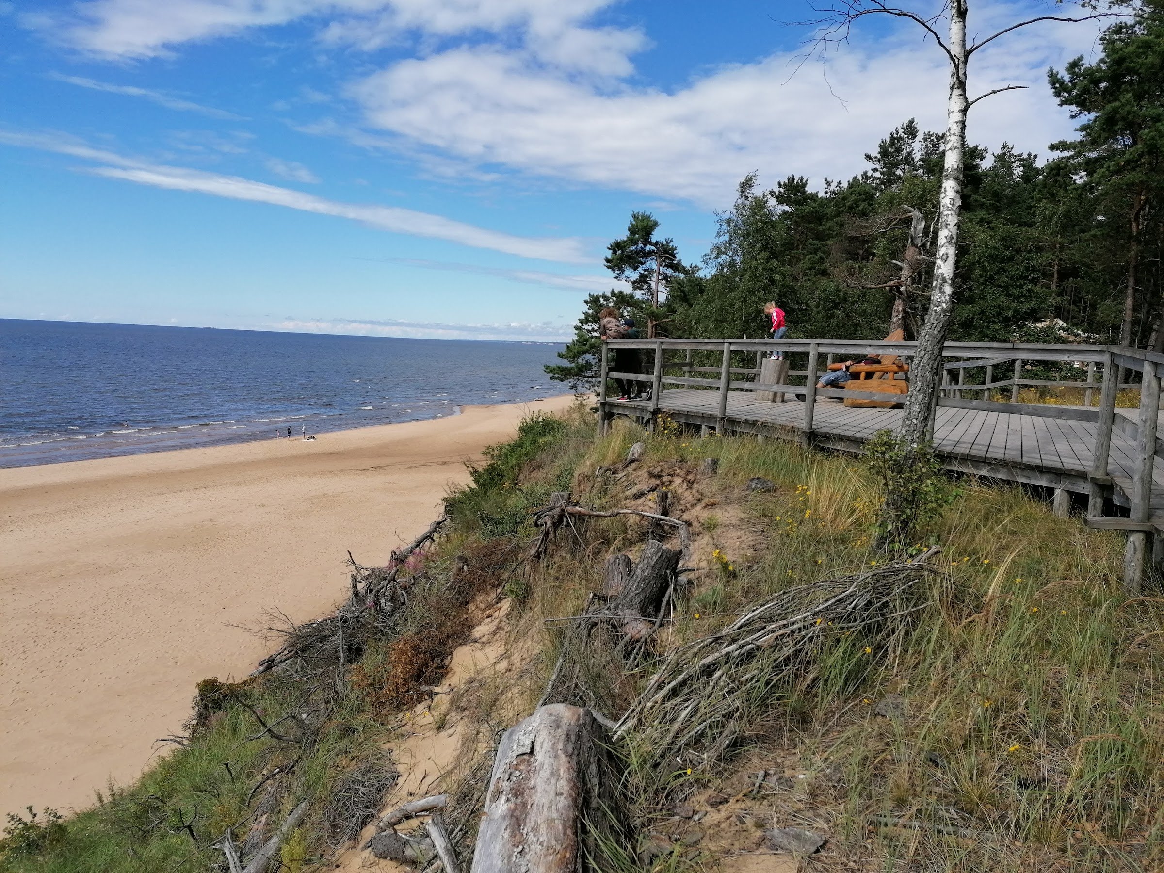 White Dune (Baltā kāpa), Saulkrasti